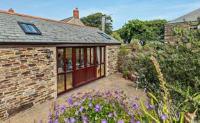 Photo of in Padstow  (75735)