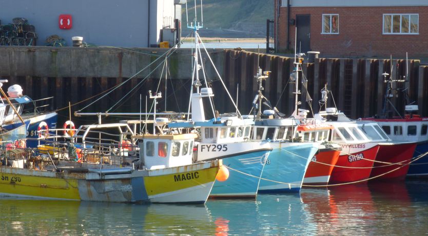 Photo of The Sequoia