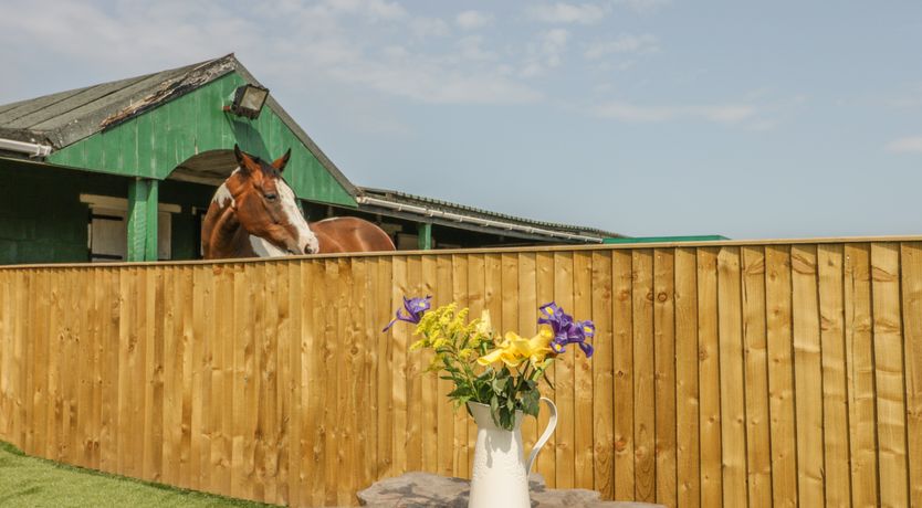 Photo of The Sequoia