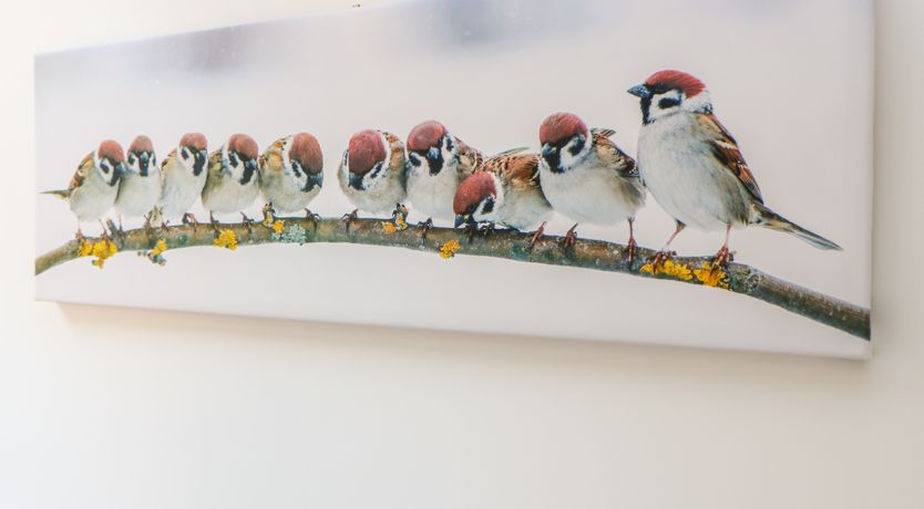 Photo of Sparrow Barn