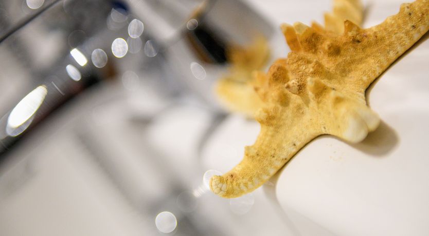 Photo of Campion Cottage