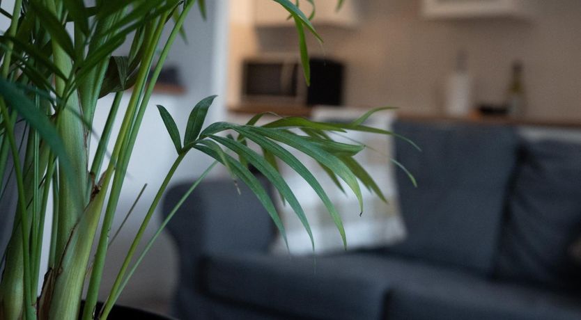 Photo of 1 Bed in Redcar