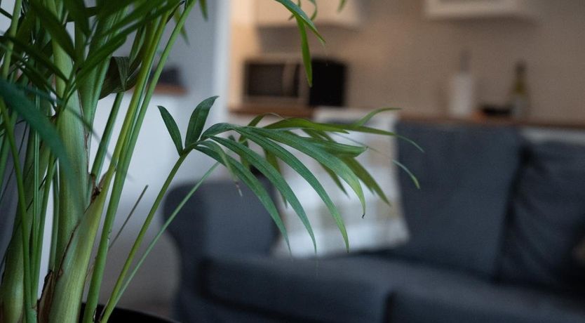 Photo of 1 Bed in Marske by the Sea