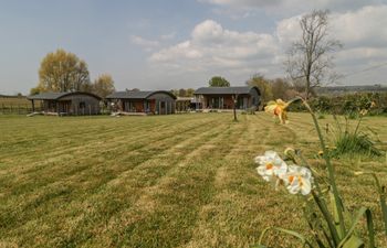 Bluebell Holiday Cottage