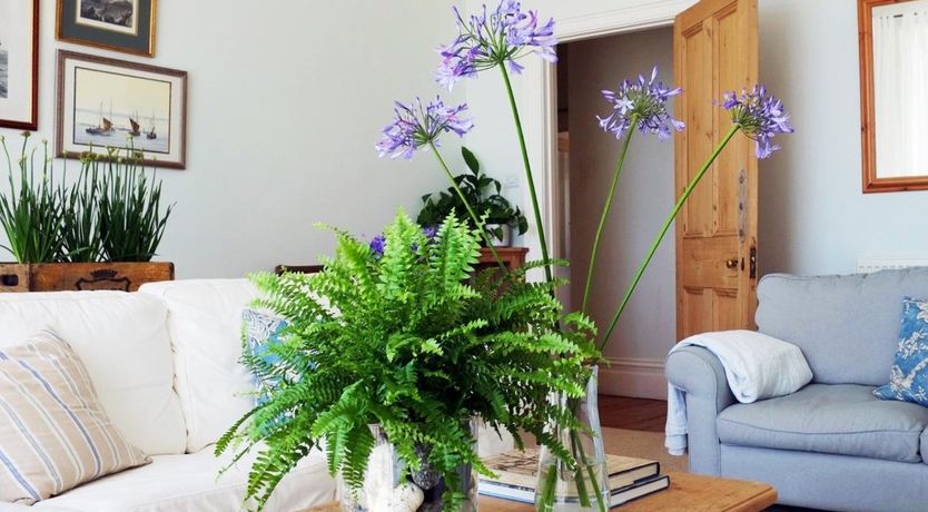 Photo of 2 Bed in Ventnor