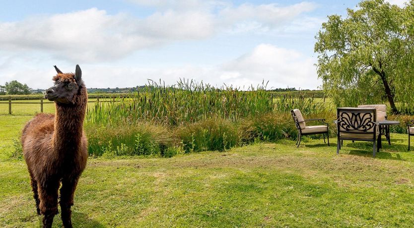 Photo of 1 Bed in Aylesbury