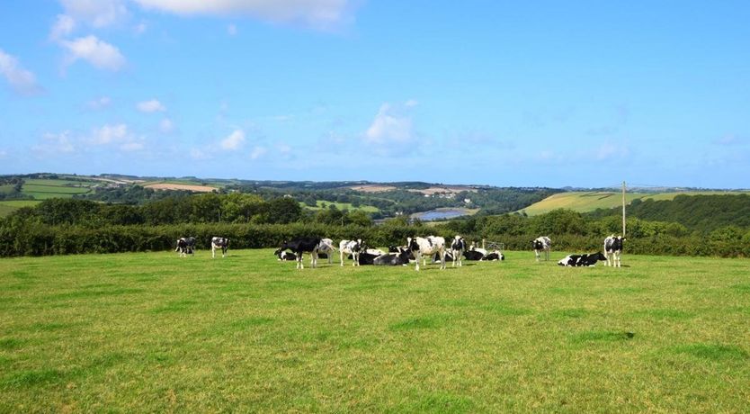 Photo of 2 Bed in Bideford