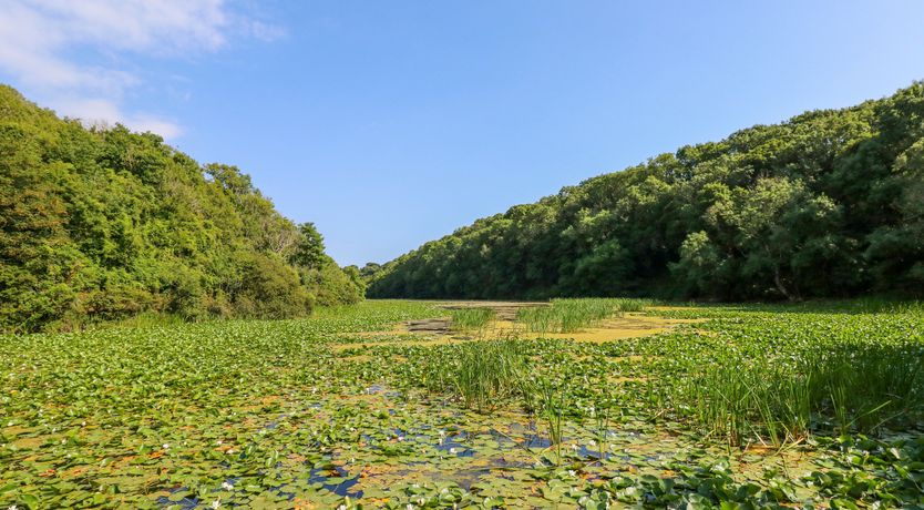 Photo of Shepherds Hut - The Crook