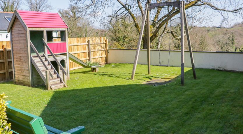 Photo of Forget-me-not