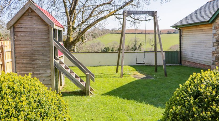 Photo of Forget-me-not