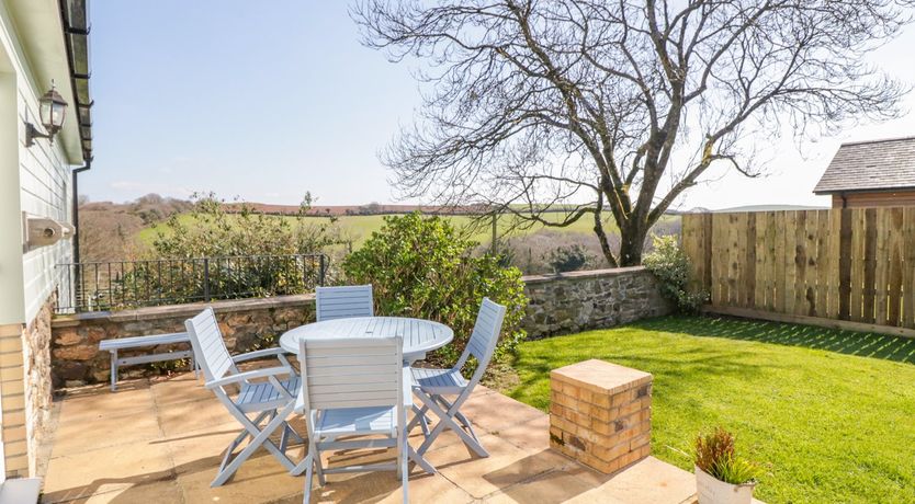 Photo of Forget-me-not