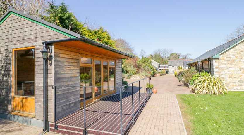 Photo of Forget-me-not