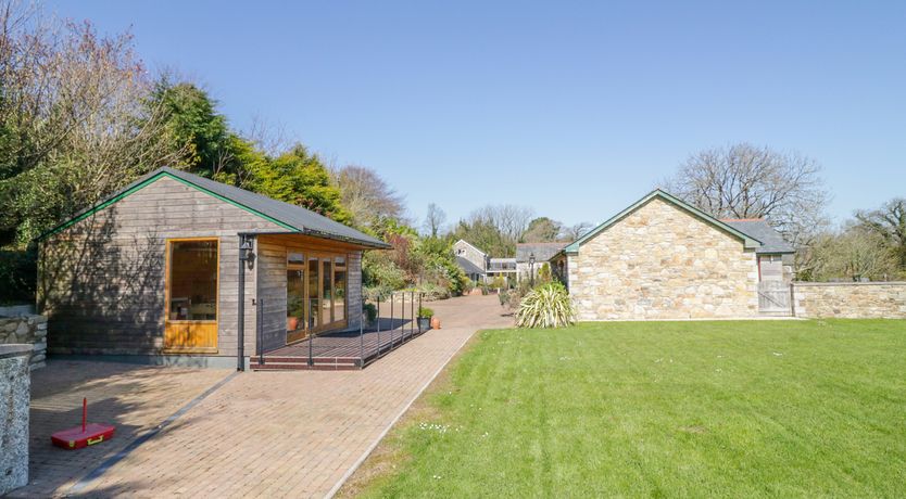 Photo of Forget-me-not