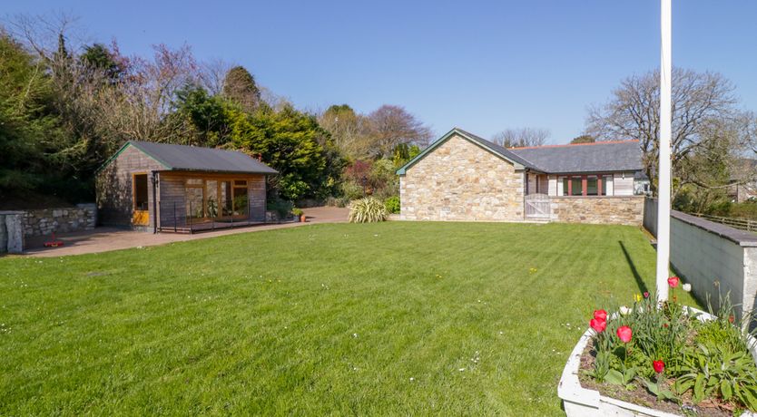 Photo of Forget-me-not