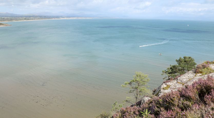 Photo of Songbird Hideaway