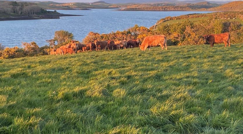 Photo of Westport Coastal Lodge 