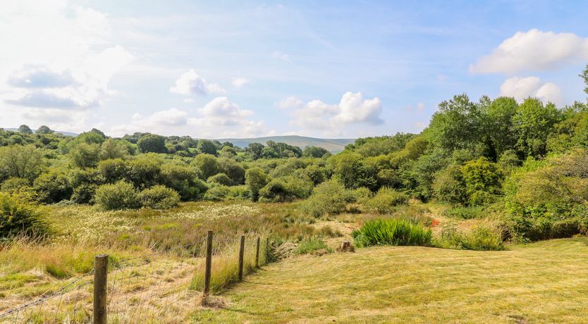 Photo of Plasybangor