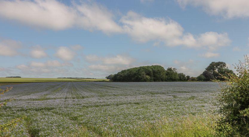 Photo of Humble Bee Cottage