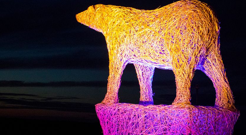 Photo of Salmon Cottage