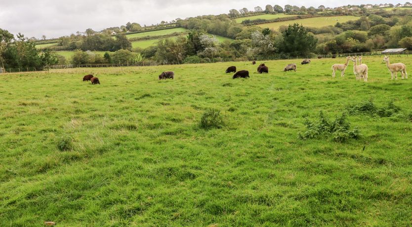 Photo of Potters Barn