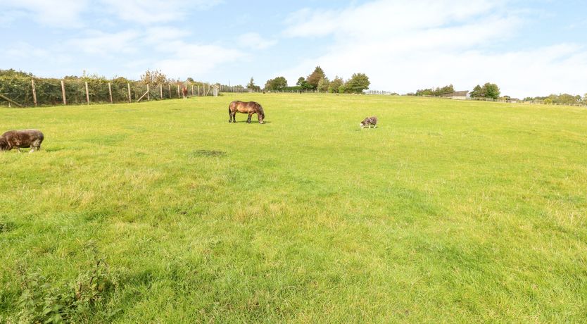 Photo of Potters Barn