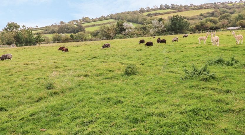 Photo of Pottery  Cottage
