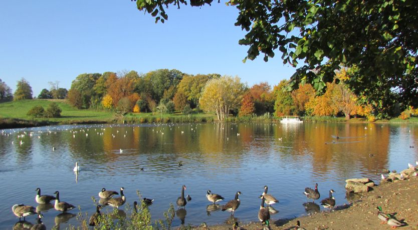 Photo of Weir Cottage