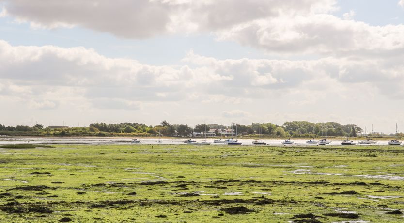 Photo of 2A The Mews