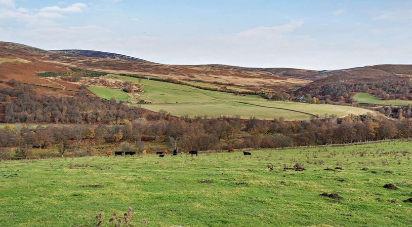 Photo of 1 Bed in Edzell