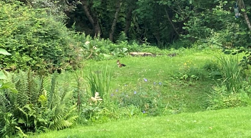 Photo of 2 Bed in Drumelzier