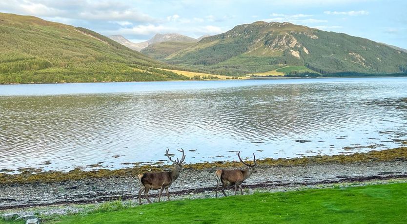 Photo of 3 Bed in Lochbroom