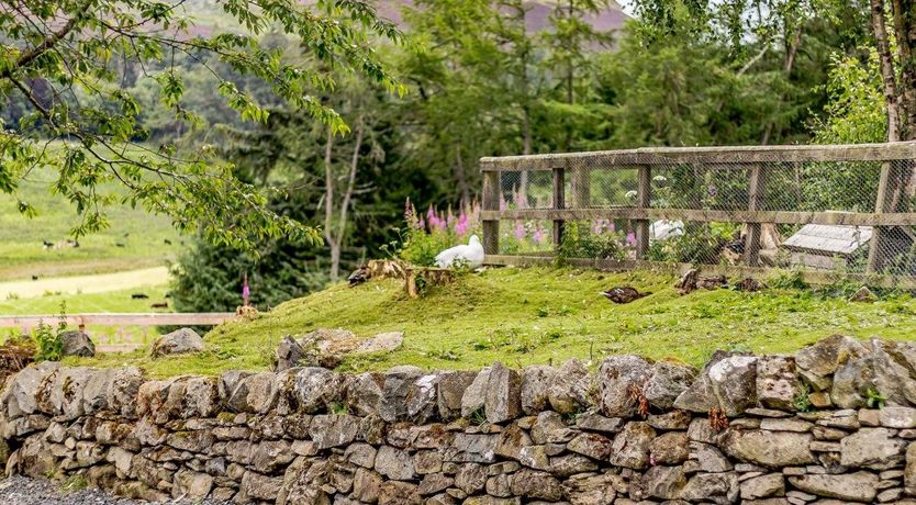 Photo of 1 Bed in Blacklunans