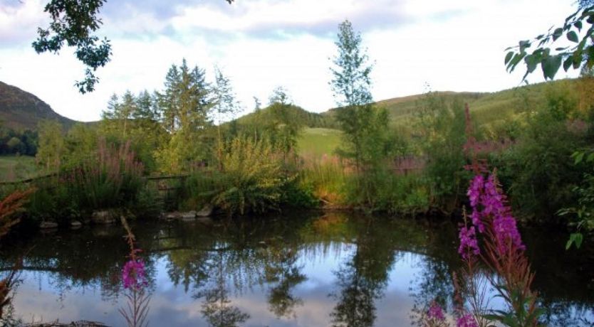 Photo of 1 Bed in Blacklunans