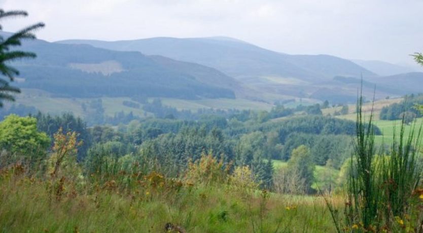 Photo of 1 Bed in Blacklunans