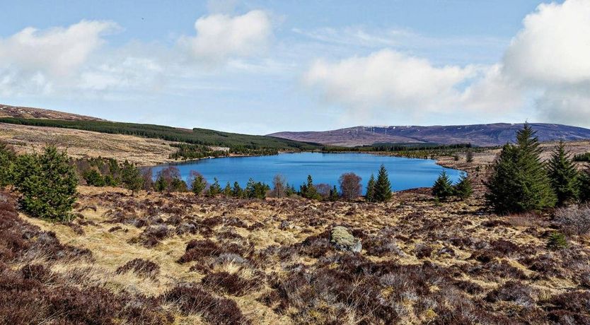 Photo of 1 Bed in Alness