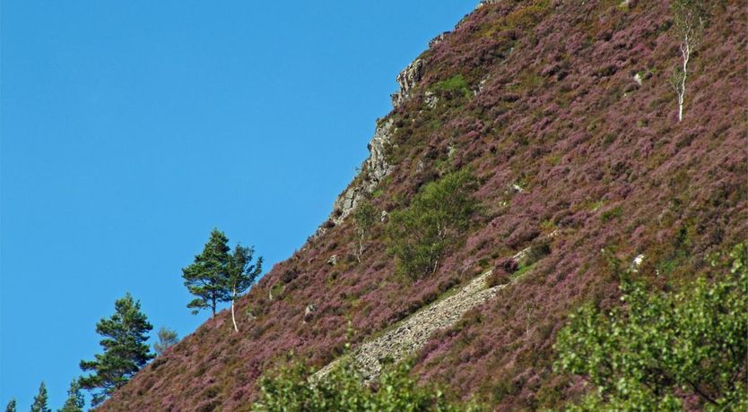 Photo of 1 Bed in Alness