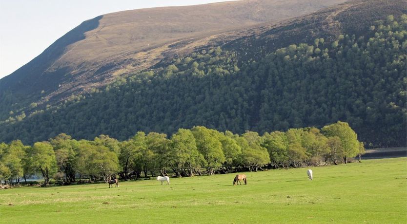 Photo of 1 Bed in Alness