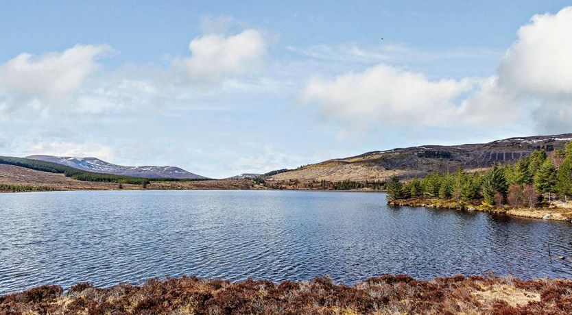 Photo of 1 Bed in Alness