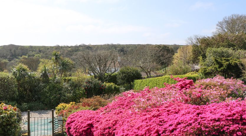 Photo of Windy Heath