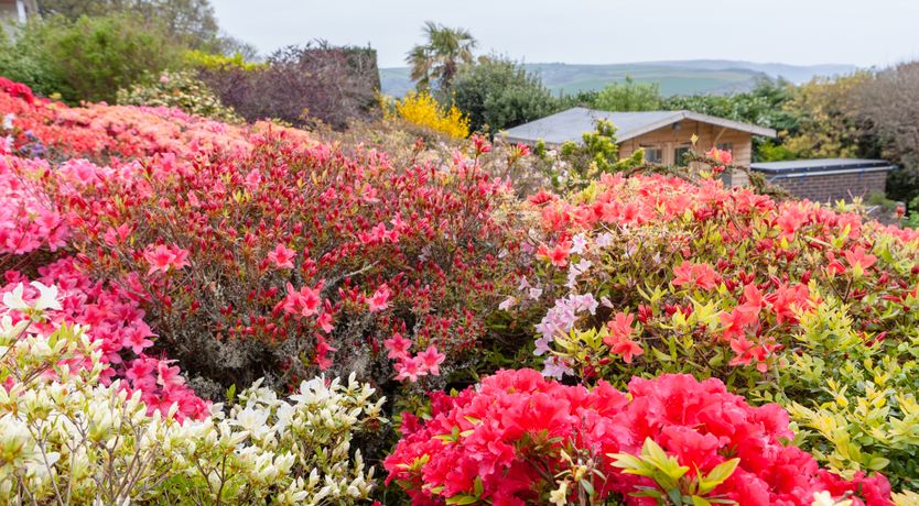 Photo of Windy Heath