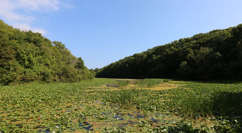Photo of Granary Cottage