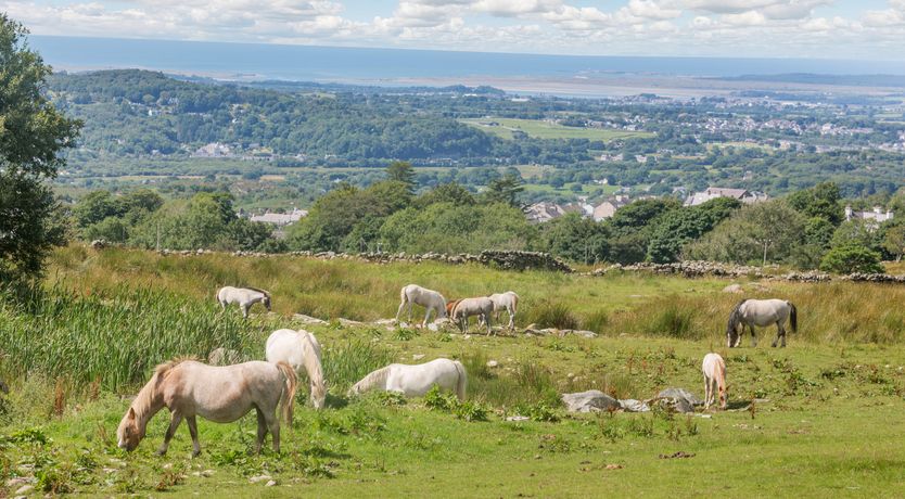 Photo of Ffynnon Bach