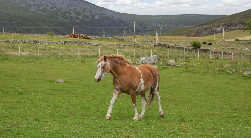 Photo of Ffynnon Bach