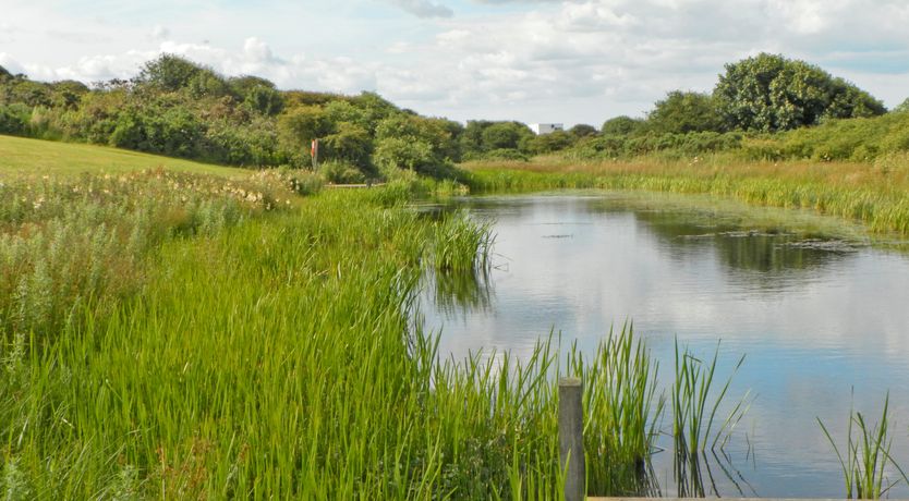 Photo of Nett's Coastal Escape