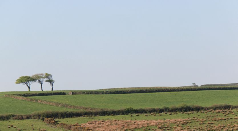 Photo of Higher Forda