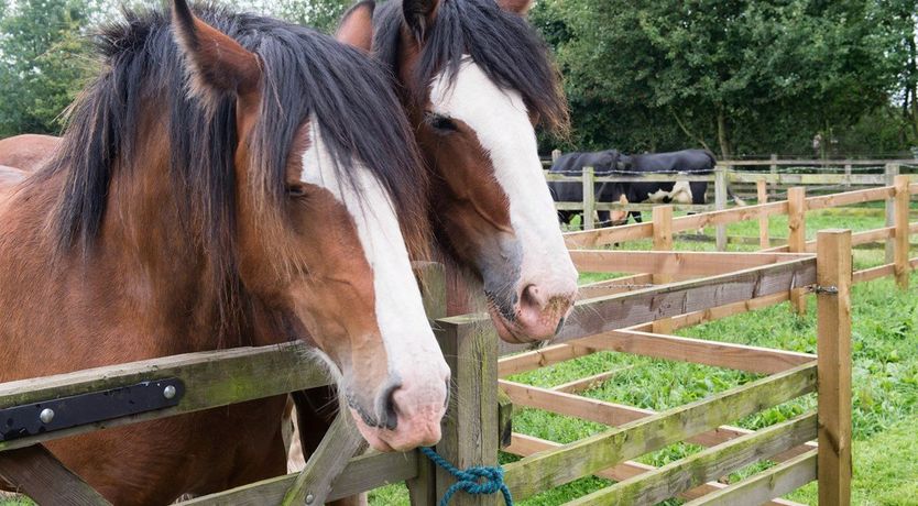 Photo of 1 Bed in Ripley