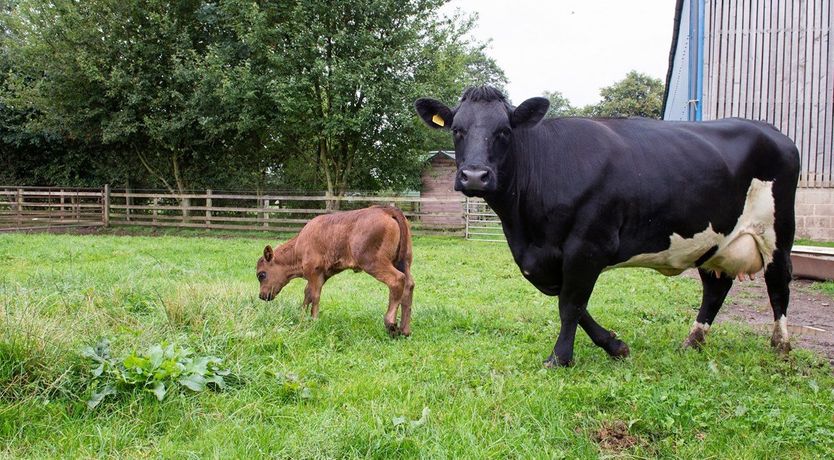 Photo of 1 Bed in Ripley