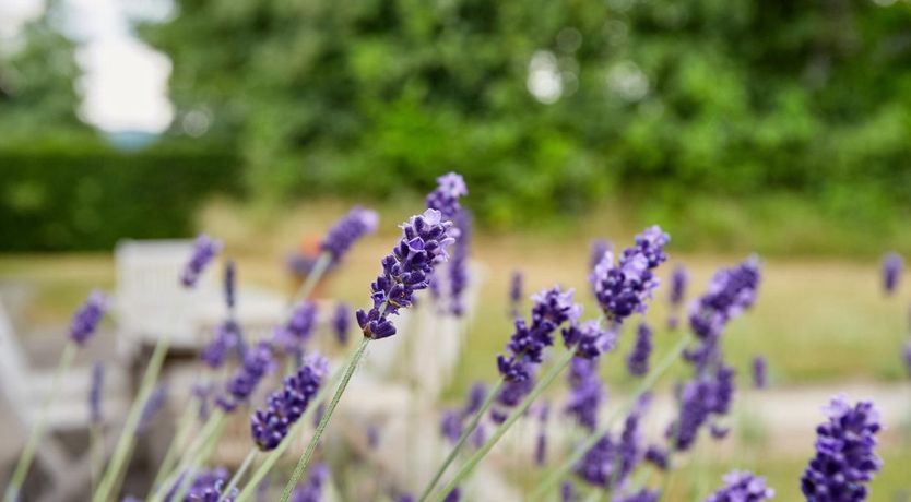 Photo of 2 Bed in Kington