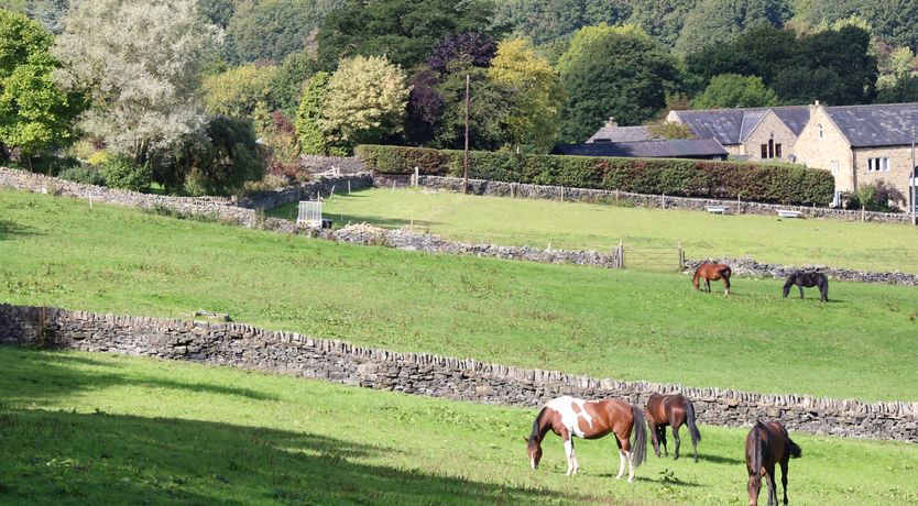 Photo of The Stables