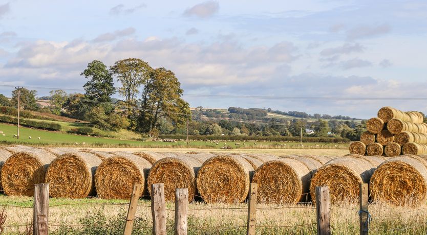 Photo of Bonjedward Mill Farm Cottage